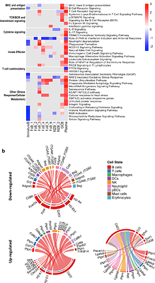 Poor sleep impairs immune responses and influenza vaccine protection