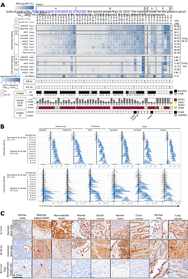 Prognostically favorable immune responses to ovarian cancer are distinguished by self-reactive intra-epithelial plasma cells