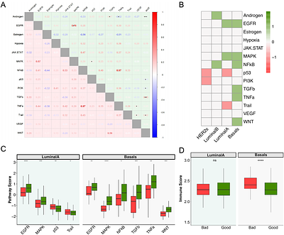 A robust negative association between estimated tumour circadian clock function and survival in early stage breast cancer