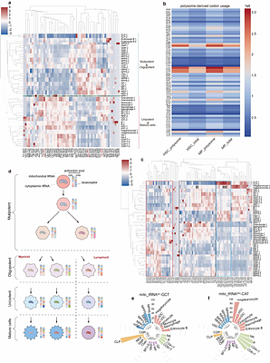 Ultra-sensitive FLORA-seq links cell-type-specific tRNAome dynamics to differentiation trajectories guiding therapeutic suppressor tRNA candidate selection