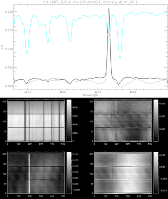 High polarization lines of the second solar spectrum of the Solar limb