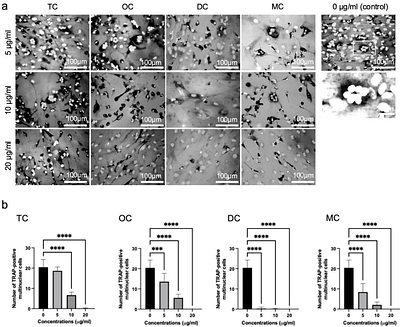 Suppressing Bone Resorption and Promoting Mineralization with Tetracycline Derivatives