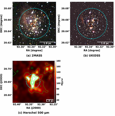 Star formation efficiency and scaling relations in parsec-scale
  cluster-forming clumps