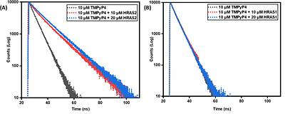 Selective Stabilization of HRAS2 i-Motif DNA by TMPyP4: A Multimodal Biophysical and Thermodynamic Investigation