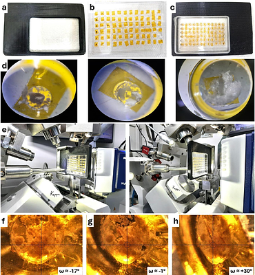 A novel sample delivery method for powder X-ray diffraction at Turkish Light Source