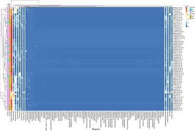 Greenhouse gas flux and microbial communities in Central Valley irrigation canals