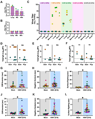 Vertical Transmission of Bovine H5N1 during Pregnancy and Lactation in Mice