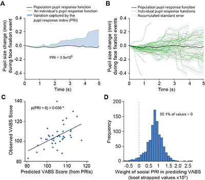Pupil responses to social stimuli are associated with adaptive behaviors across the first 24 months of life