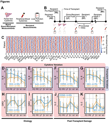 Tensor-Based Integration of Time-Series Measurements Reveals Relationships Between Underlying Disease, Early Injury, and CD4+ Polarization in Liver Transplantation