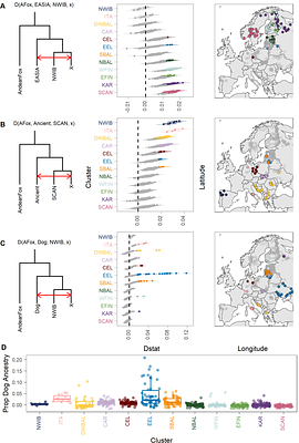 The population structure and genetic health of European wolves