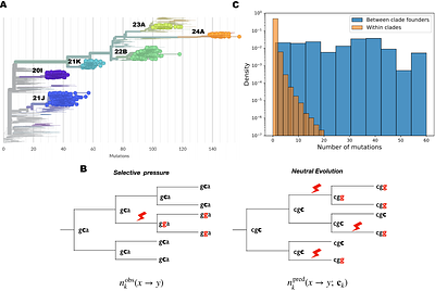 Epistasis and the changing fitness landscapes of SARS-CoV-2