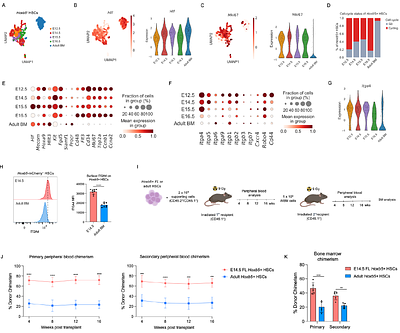 Hoxb5+ fetal liver hematopoietic stem cells establish lifelong hematopoiesis and exhibit enhanced ITGA4-dependent engraftment