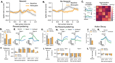 Psilocybin asymmetrically modulates outcome-based choice and cortical processing under uncertainty