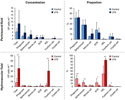 Carotenoid-based immune response in sea cucumbers relies on newly identified coelomocytes -- the carotenocytes
