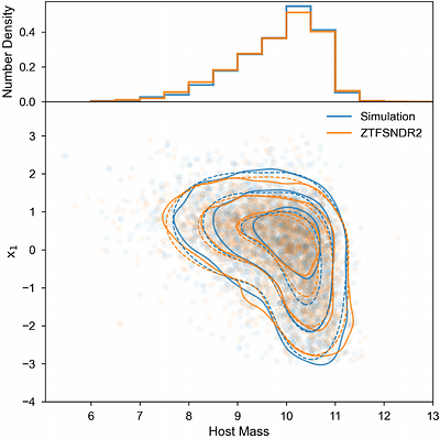 LightCurveLynx: Forward Modeling of Time-Domain Surveys with Application to ZTF SN Ia DR2