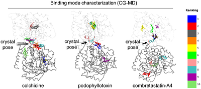 Ligand Binding Free Energy Landscapes at the Tubulin Colchicine Site from Coarse-Grained Metadynamics