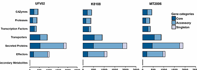 COMPARATIVE GENOMIC ANALYSIS OF CORE AND ACCESSORY GENES IN RUST FUNGI REVEALS PATHOGENICITY-ASSOCIATED GENE FAMILIES IN Phakopsora pachyrhizi