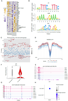 Intravenous BCG immunization drives naive CD4+ T cell to Th1 differentiation via CD4+ T cell epigenetic reprogramming