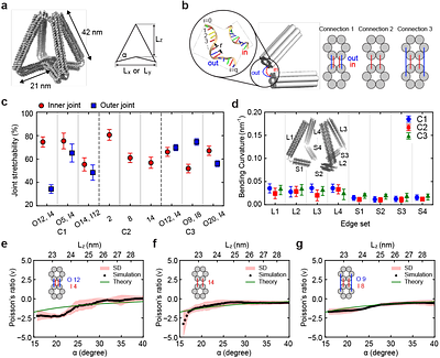 Computational Design Strategies for Nanoscale 3D Auxetic Metastructures from DNA