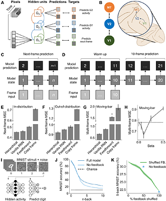Hierarchical recurrent temporal prediction as a model of the mammalian dorsal visual pathway