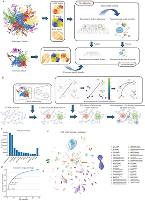 IMAS enables target-aware integration of tumour multiomics to resolve communication-guided regulatory mechanisms