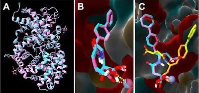 Benchmarking Docking Tools on Experimental and Artificial Intelligence-Predicted Protein Structures