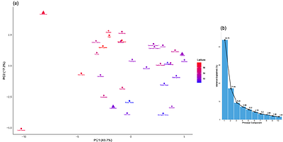 Genetic basis of traits and local adaptation in UK silver birch