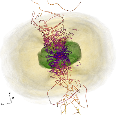 Magnetic Field Configurations in Binary Neutron Star Mergers I:
  Post-merger Remnant and Disk