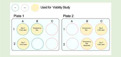 Epigallocatechin Gallate (EGCG) as a Protective Agent Against Enzymatic Stromal Degradation in Caprine and Ovine Corneas: Towards Novel Therapeutics for Keratoconus