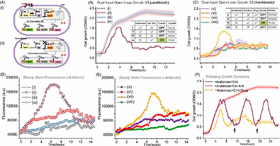 Design of a Modular Inducible Circuit for Pulsatile Population Control of Engineered Bacteria