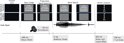 Evidence for a Causal Dissociation of the McGurk Effect and Congruent Audiovisual Speech Perception via TMS