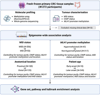 DNA methylation signatures of mismatch repair-deficient colorectal cancer