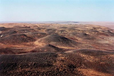 The Zhamanshin Impact Event: Potential Implications for Environmental Responses and Biological Linkages on Earth and Beyond