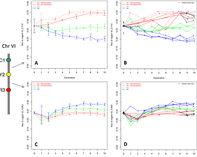 Response to divergent selection on meiotic recombination in Saccharomyces cerevisiae