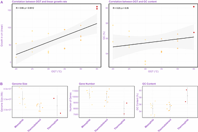 Elevated substitution rates and increased purifying selection associated with thermophily in Chaetomiaceae fungi