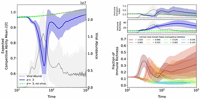Host Competitive Asymmetries Accelerate Viral Evolution in a Microbe-Virus Coevolutionary System