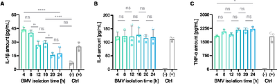 Raman spectroscopy reveals growth phase-dependent molecular differences in bacterial membrane vesicles