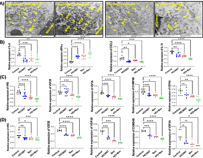HO-3867 mediated modulation of Extracellular vesicles and Tumor microenvironment: A novel immunotherapeutic strategy for ovarian cancer