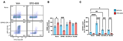 CaMKK2 Identifies Biologically Aggressive Chronic Lymphocytic Leukemia and Regulates Leukemic Survival and Nurse-Like Cell Support