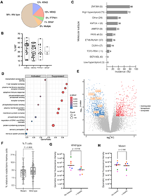 The bone marrow microenvironment of RAS pathway mutant B-ALL is enriched for immunosuppressive regulatory T cells