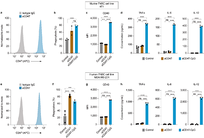 An immune-stimulating antibody conjugate spatiotemporally targeting CD47 and TLR9 elicits macrophage-dependent tumor clearance and durable anti-cancer adaptive immunity
