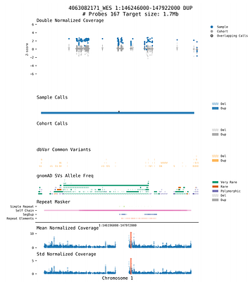Rapid, Reliable, and Interpretable CNV Curation Visualizations for Diagnostic Settings with SeeNV