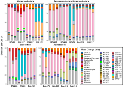 Volatile emissions from diverse estuarine bacteria share core compounds with a subset of strain-specific, low abundance compounds