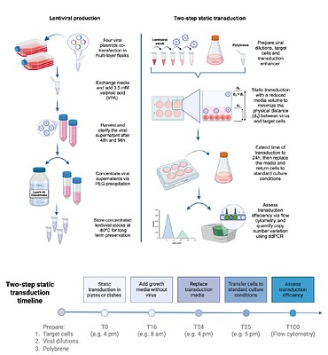 Overcoming lentiviral delivery limitations in hard-to-transduce suspension cells for genome-wide CRISPR screening