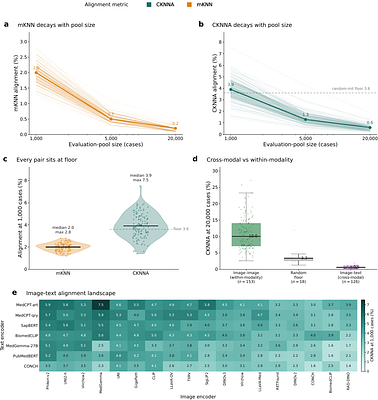 Self-supervision drives representational convergence in medical foundation models more than clinical supervision