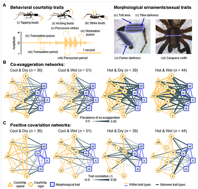 Mating display plasticity predicts the biogeography of complex communication and population persistence in changing climates