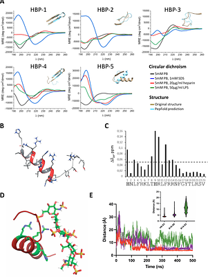 Mining the heparinome for cryptic antimicrobial peptides that selectively kill gram-negative bacteria