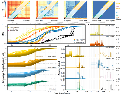 Genomes reveal age and demographic consequence of ultrafast adaptive radiation