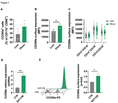 CD300e Controls Macrophage Lipid Handling and Safeguards Adipose Tissue Function in Obesity