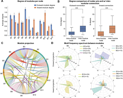 From local motifs to global dynamical stability in the mouse brain connectome